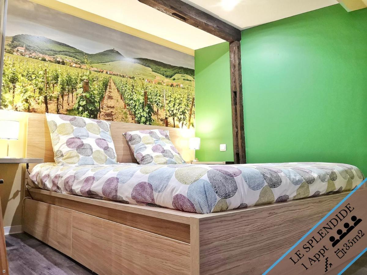 Splendide Appartement Barr - Route Du Vins Exteriér fotografie