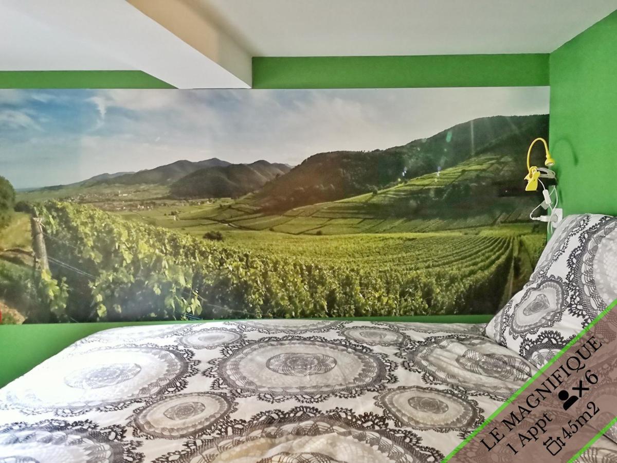 Splendide Appartement Barr - Route Du Vins Exteriér fotografie