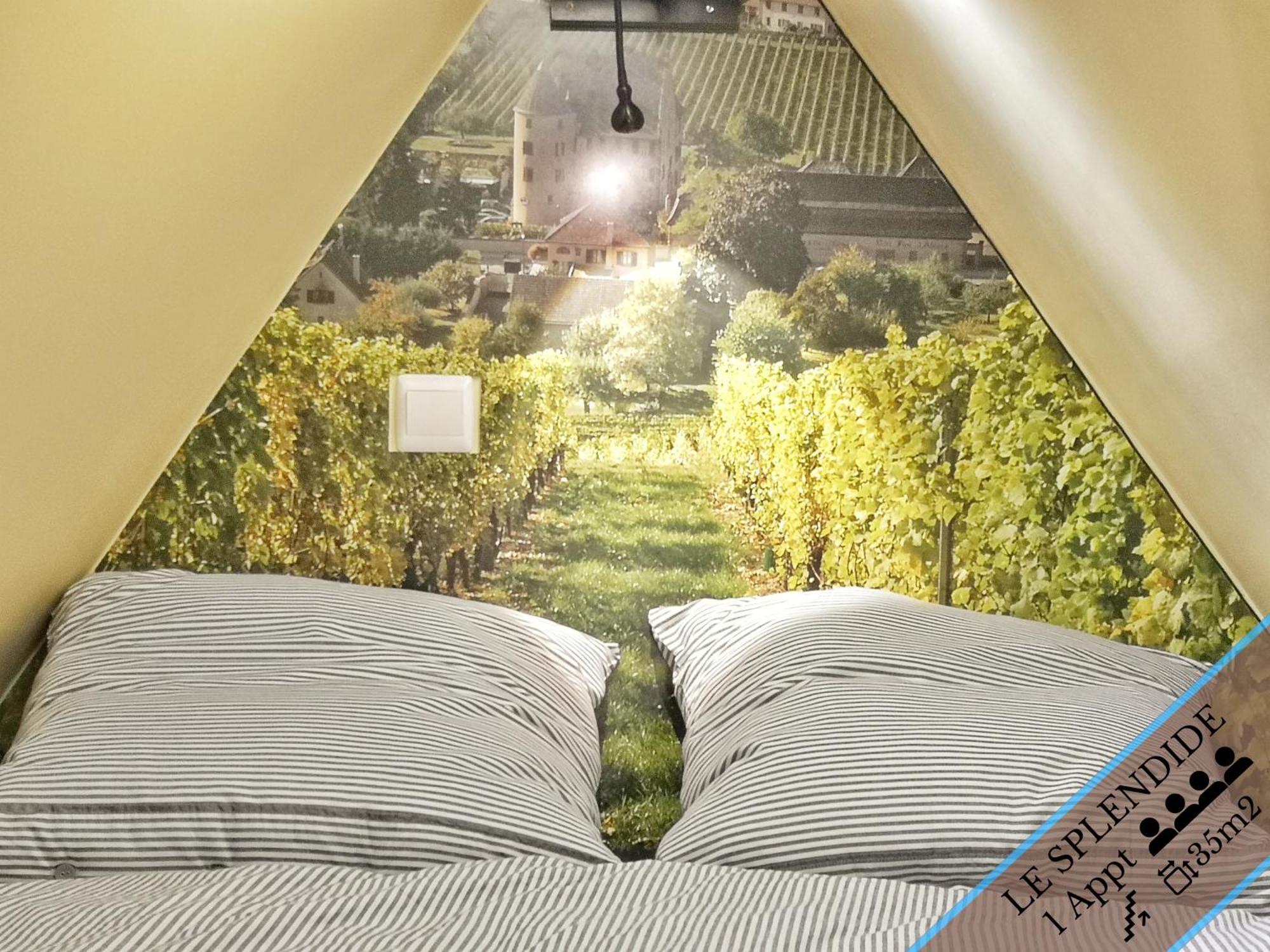 Splendide Appartement Barr - Route Du Vins Pokoj fotografie